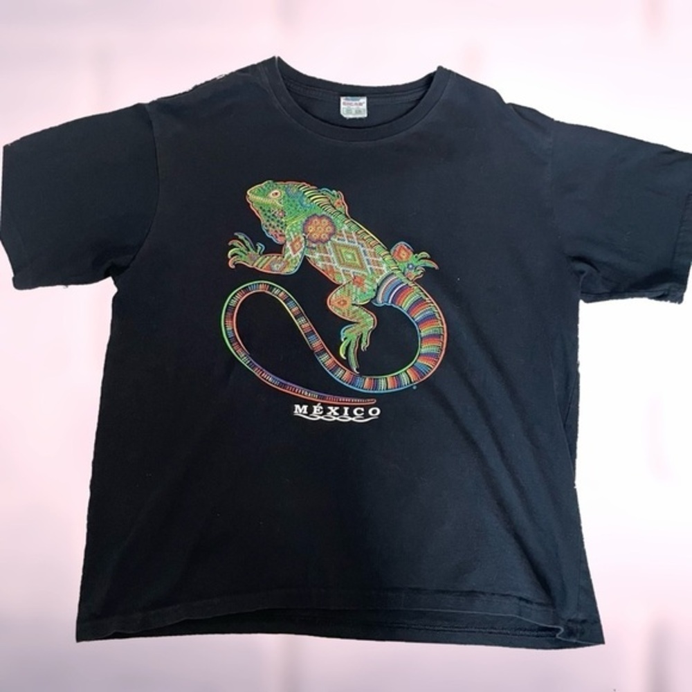 Vintage Trippy Iguana Mexico T-shirt